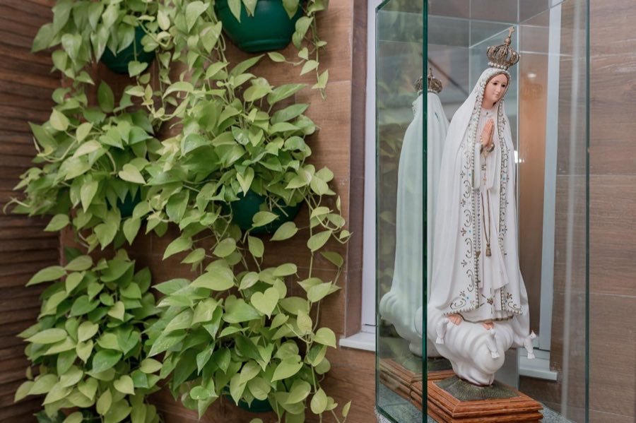 Jardim vertical de plantas ao lado da vitrine com a imagem de Nossa Senhora